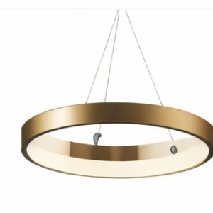 Contemporary Ceiling Light ??? White
